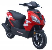 2012 Nipponia Neon 50 photo